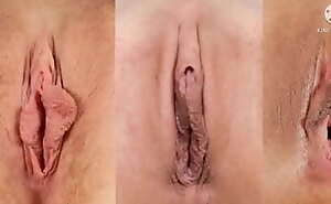 Different form of LABIA of the PUSSY