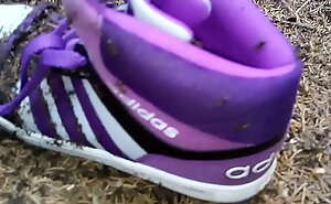 Adidas against ants part.4 ( After 4 days )