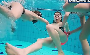 Several hot horny girls sinking aggregate nearby