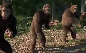 monkey dancing